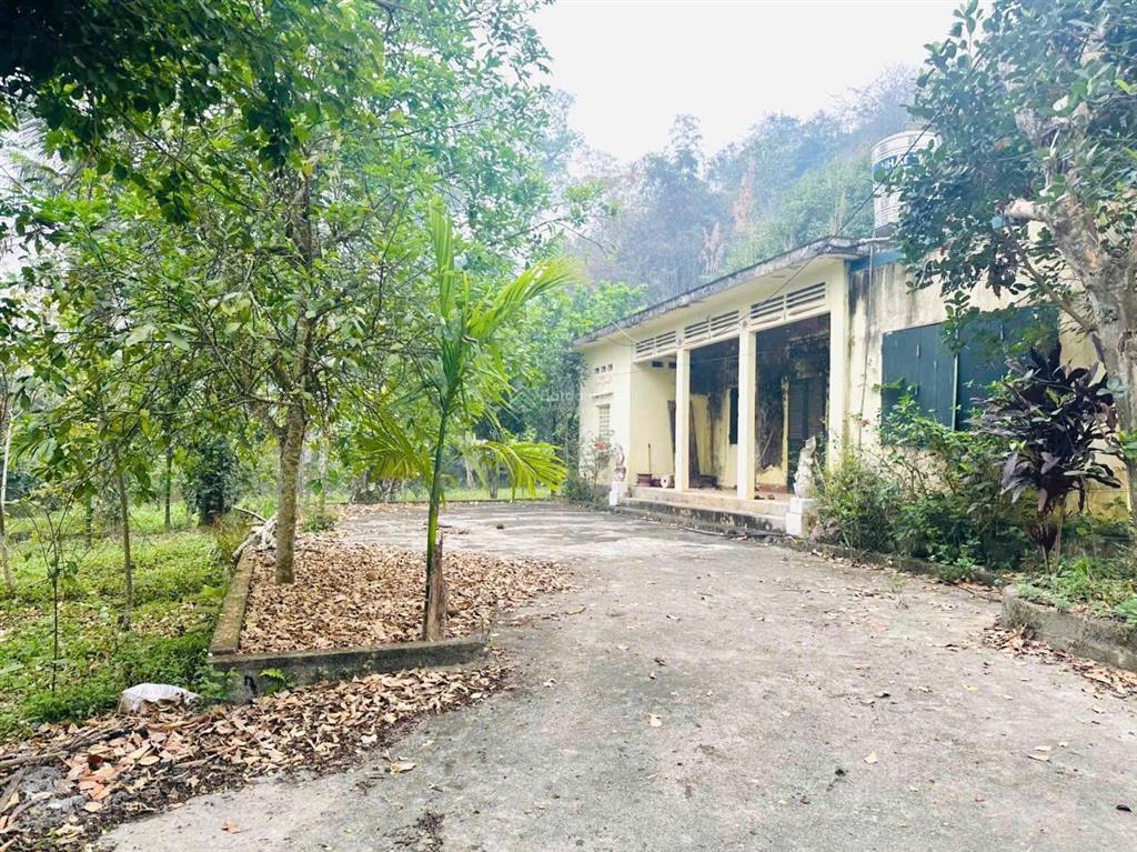 Đất săn hàng hiếm dt 2300m² lưng tựa núi, view sân golf giá rẻ không tưởng!