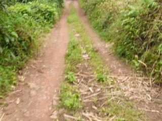 5ha rsx tại nam phong cao phong hòa bình( phú thọ)