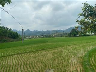 Chính chủ gửi bán 338m có 203m thổ cư 135m cln cao phong,hòa bình( phú thọ)