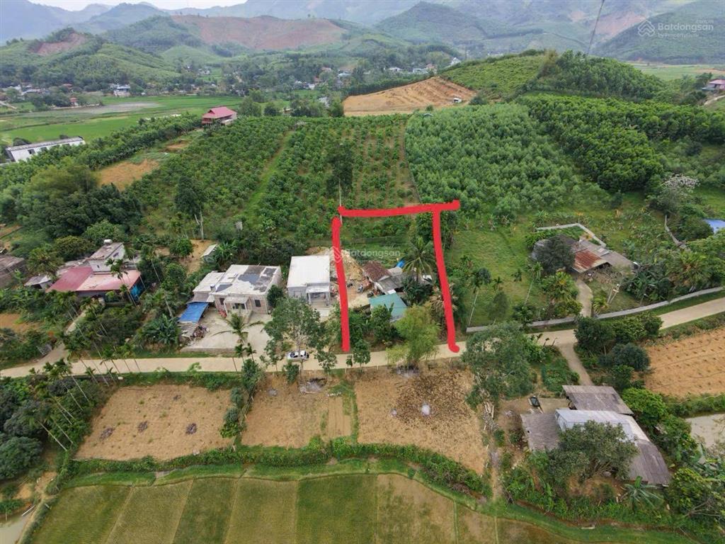 Dt 450m2, có 300m ont + cln kim bôi, hòa bình( phú thọ)