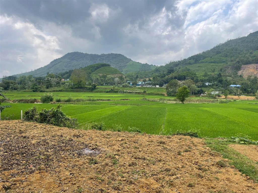 Dt 450m2, có 300m ont + cln kim bôi, hòa bình( phú thọ)