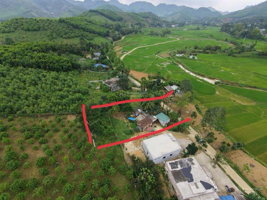 Dt 450m2, có 300m ont + cln kim bôi, hòa bình( phú thọ)