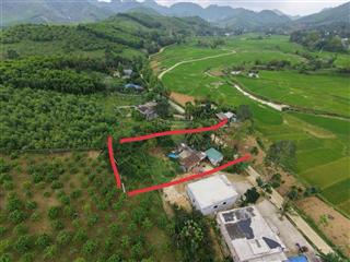 Dt 450m2, có 300m ont + cln kim bôi, hòa bình( phú thọ)