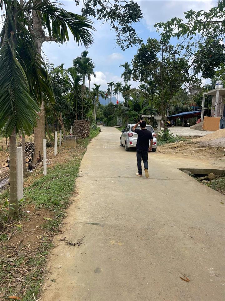 Dt 450m2, có 300m ont + cln kim bôi, hòa bình( phú thọ)