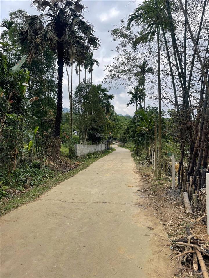 Dt 450m2, có 300m ont + cln kim bôi, hòa bình( phú thọ)