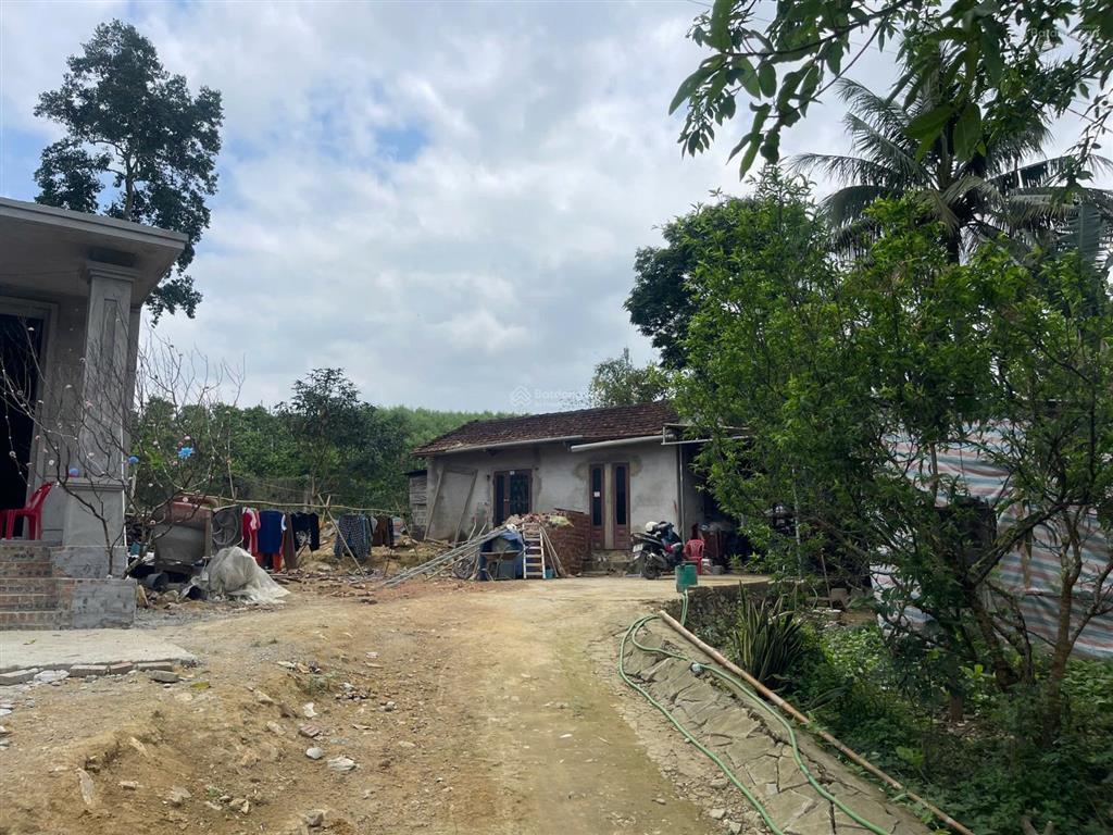 Dt 450m2, có 300m ont + cln kim bôi, hòa bình( phú thọ)