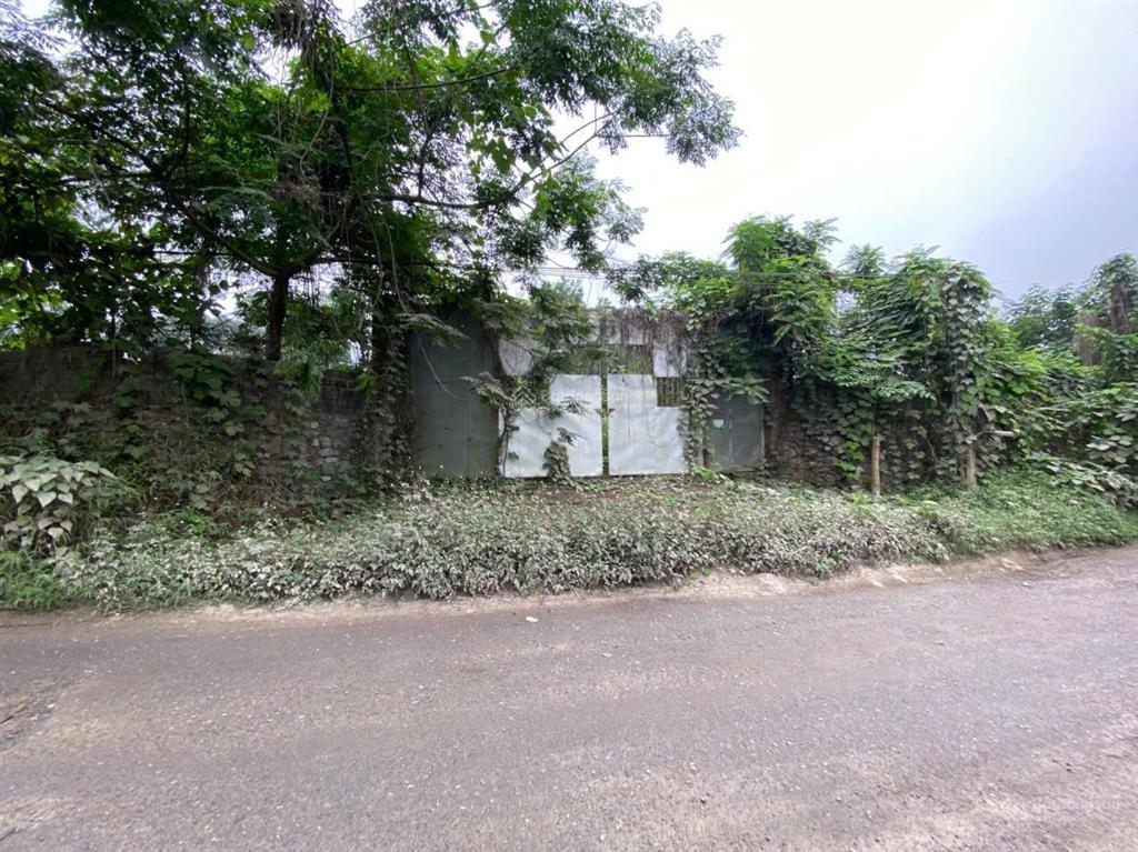 Diện tích 2.600m² trong đó có 800m² đất ở vị trí lương sơn hoà bình( phú thọ)