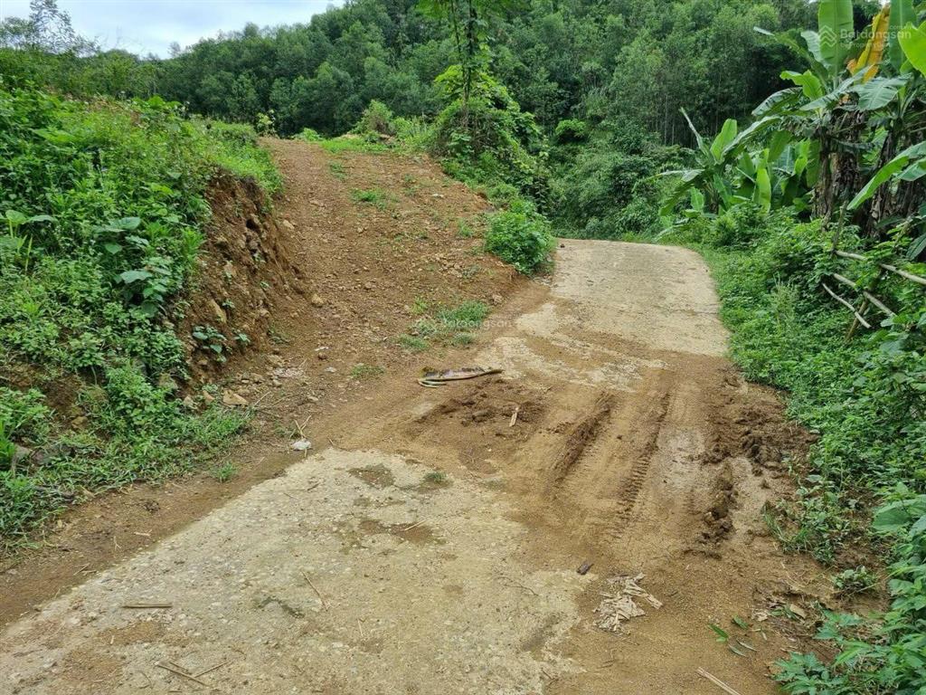 Cần bán 6385m2 có 400 thổ cư còn lại đất vườn tại kim lập  kim bôi