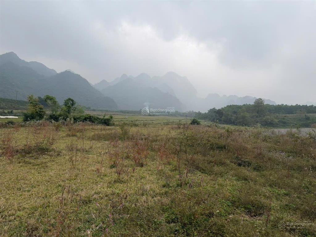 Lô đất tuyệt đẹp chính chủ bán 2676,7m2 đất ở 1000m2, view cánh đồng thoáng mát