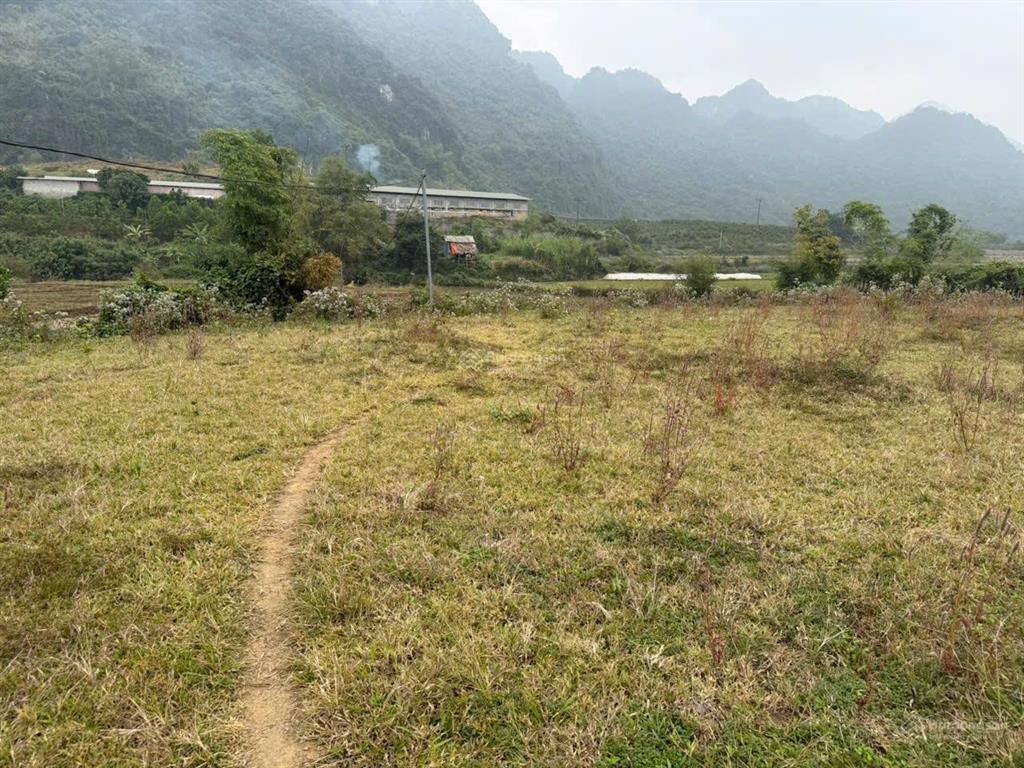 Lô đất tuyệt đẹp chính chủ bán 2676,7m2 đất ở 1000m2, view cánh đồng thoáng mát