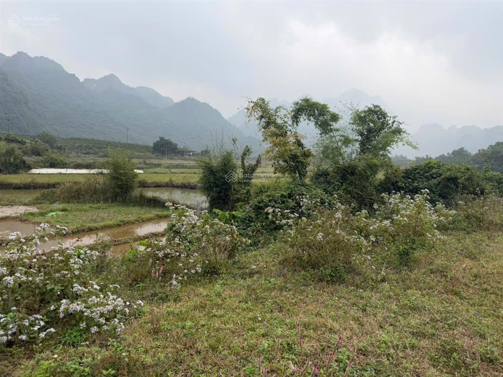Lô đất tuyệt đẹp chính chủ bán 2676,7m2 đất ở 1000m2, view cánh đồng thoáng mát