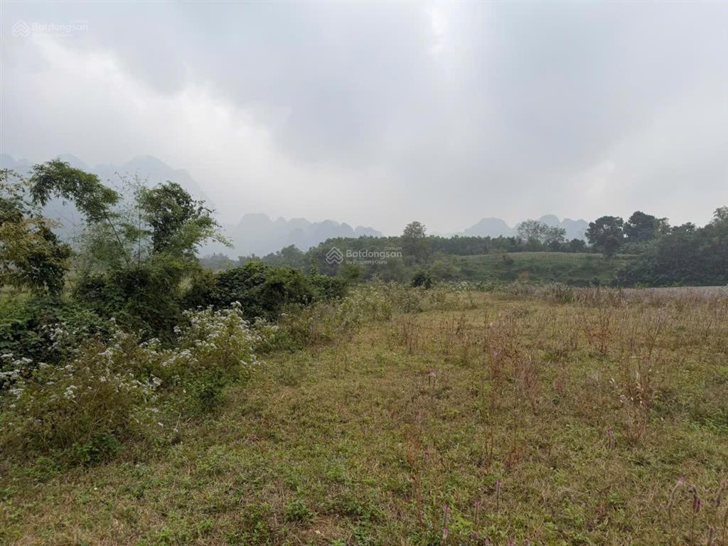 Lô đất tuyệt đẹp chính chủ bán 2676,7m2 đất ở 1000m2, view cánh đồng thoáng mát