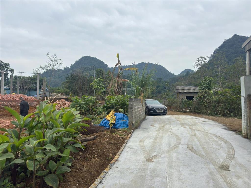 Lô đất đẹp cho nhà đầu tư sinh lời 1900m² có 300m thổ cư, cách ql12b chỉ 5km, giá quá rẻ để đầu tư