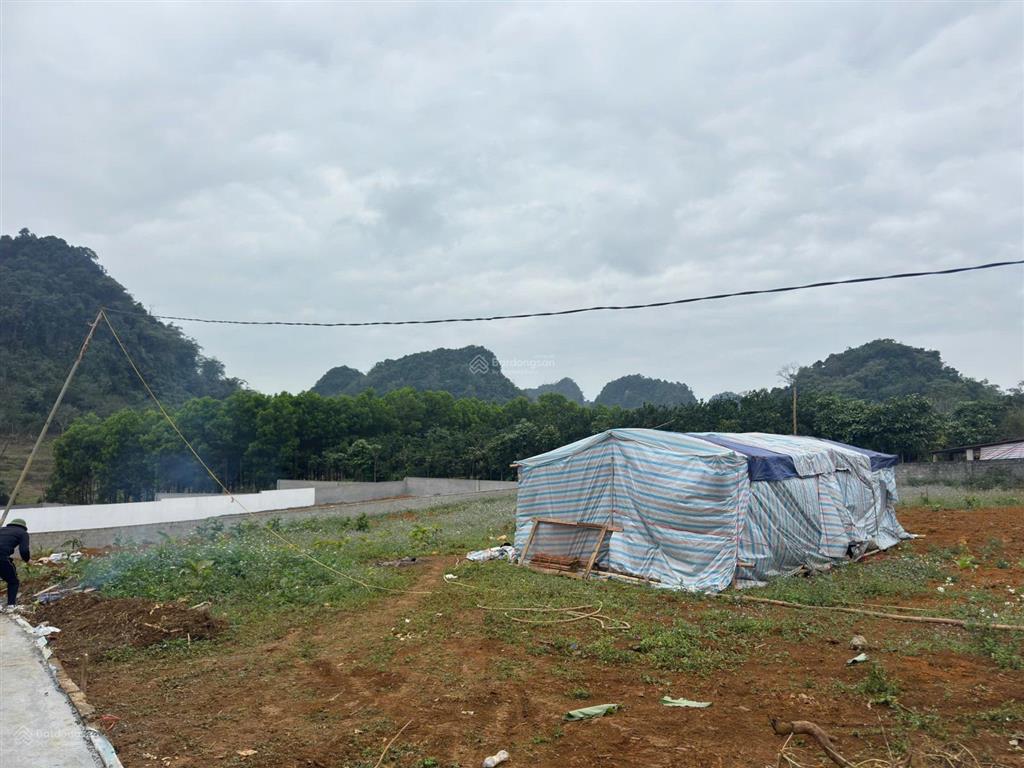 Lô đất đẹp cho nhà đầu tư sinh lời 1900m² có 300m thổ cư, cách ql12b chỉ 5km, giá quá rẻ để đầu tư