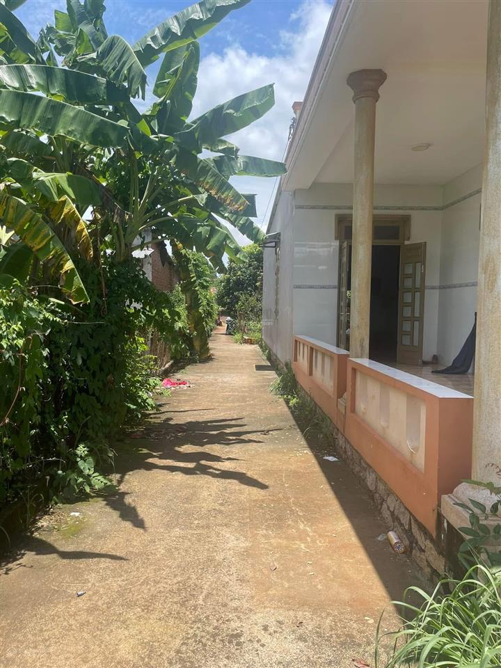 Chủ gủi bán lô đất hoà long dt 1500m2 có vườn cây ăn trái và 2 căn nhà. đường số 14 hoà long 150tc
