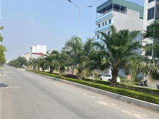 Bán đất cụm cn tại xã song phượng, huyện đan phượng, hà nội, 20,5 tỷ, 1160m2