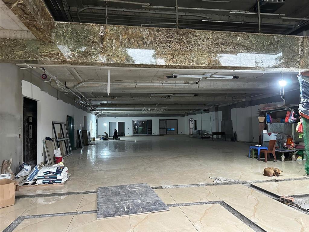 Cho thuê toà nhà mới 100% mp quang trung, hà đông 730m2, 9 tầng, 2 hầm, mt 20m, 3 thang máy, pccc