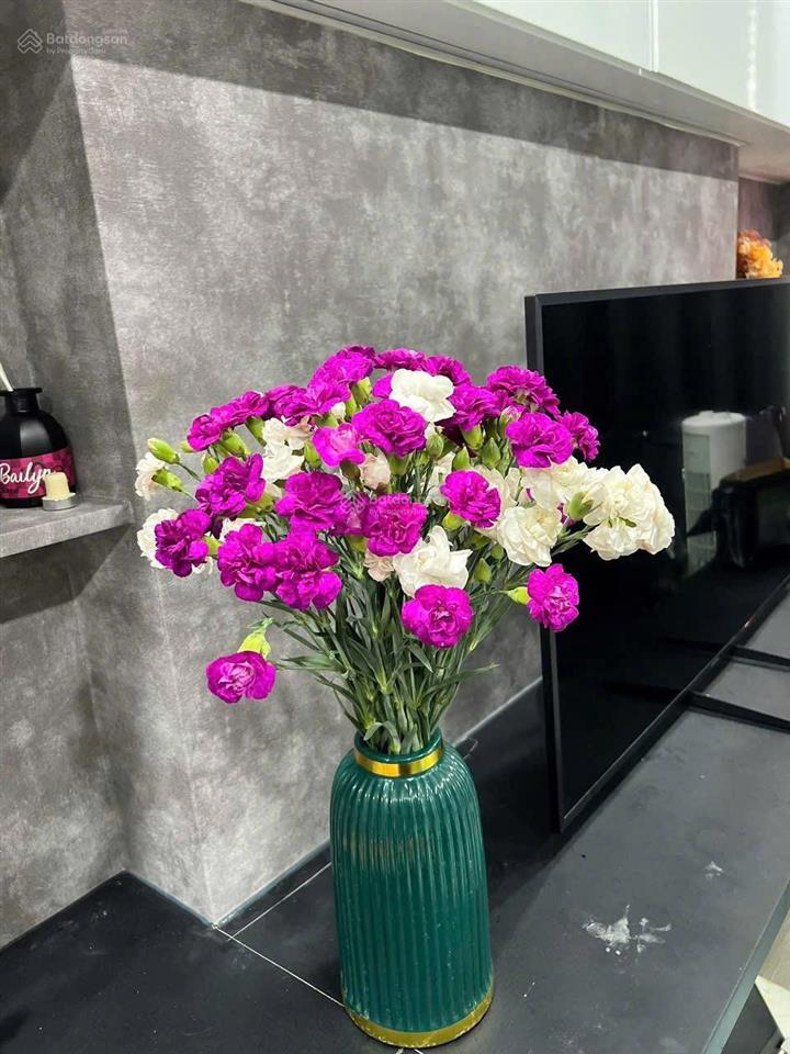 Cho thuê studio full nội thất nhà đẹp giá 11tr/tháng ngay cv gia định  garden gate