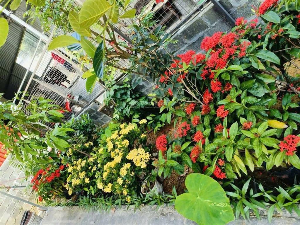 Chính chủ bán đất tại xã phú cát, hà nội, ô tô, phun thổ cư, tách thửa, 290.8m2 giá 8.1tỷ tl