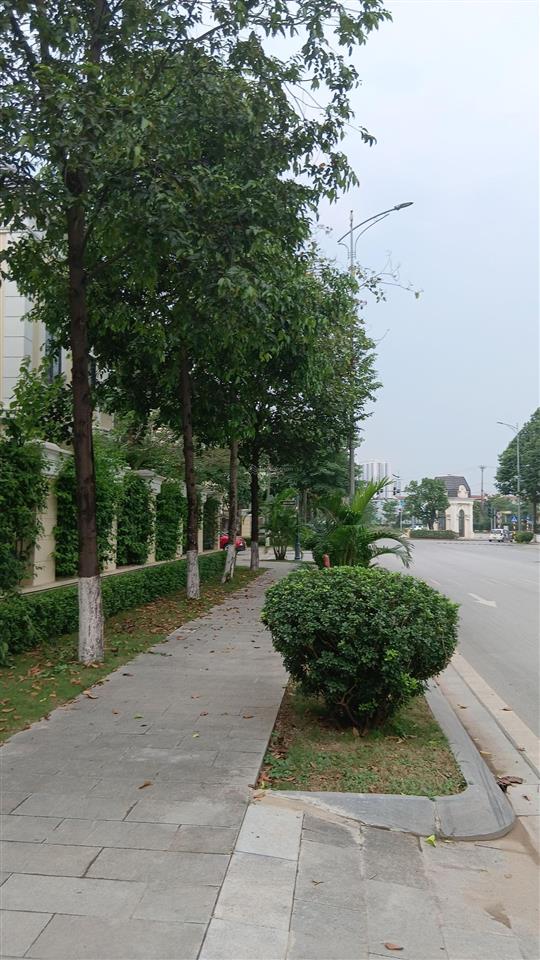 Cho thuê biệt thự tại an lạc green symphony, đường mùa hạ, gần đường 3.5, giá 12tr, dt 225m2