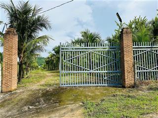 16240m2 chỉ 7.8 tỷ có ngay farm trung tâm diên thọ khánh hoà. hồ cá, nhà container cây ăn trái