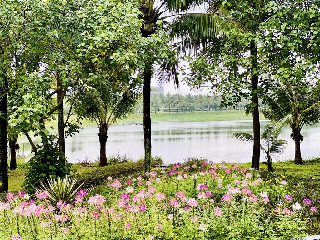 Bán lô fpt đà nẵng 180m2 (7.5x24m) vị trí đẹp, hướng nam