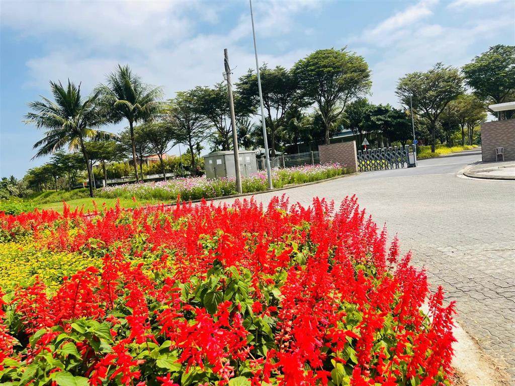 Hàng đẹp lô 2 mặt tiền fpt trục bắc nam v1, ngang 14 view kênh  bđs rồng đỏ chuyên fpt city
