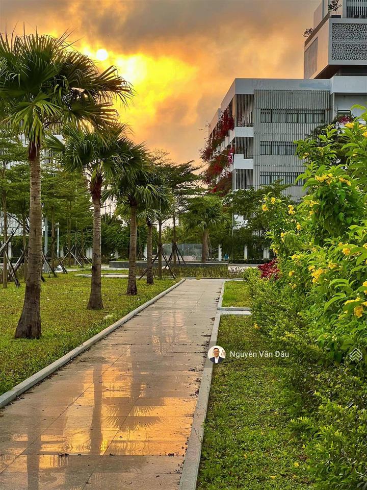 Bán đất fpt đà nẵng sát đại học fpt, vị trí rất đẹp để xây căn hộ cho thuê