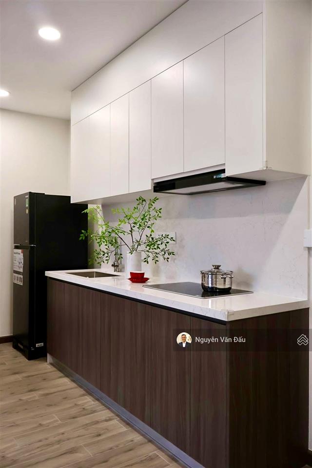 Cho thuê căn hộ 2pn fpt plaza 3, view quảng trường, hướng mát, đầy đủ nội thất đẹp. ở được ngay.