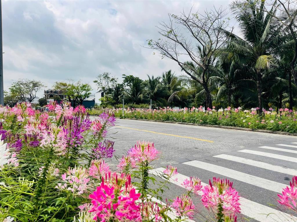 Hàng hiếm lô 2 mặt tiền fpt trục bắc nam v5, gần sông  bđs rồng đỏ chuyên fpt city đà nẵng