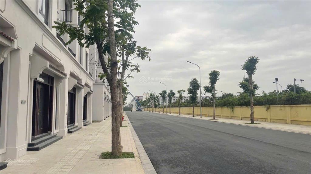 Quỹ hàng chuyển nhượng liền kề hot nhất tháng 5/26 dự án vin cổ loa