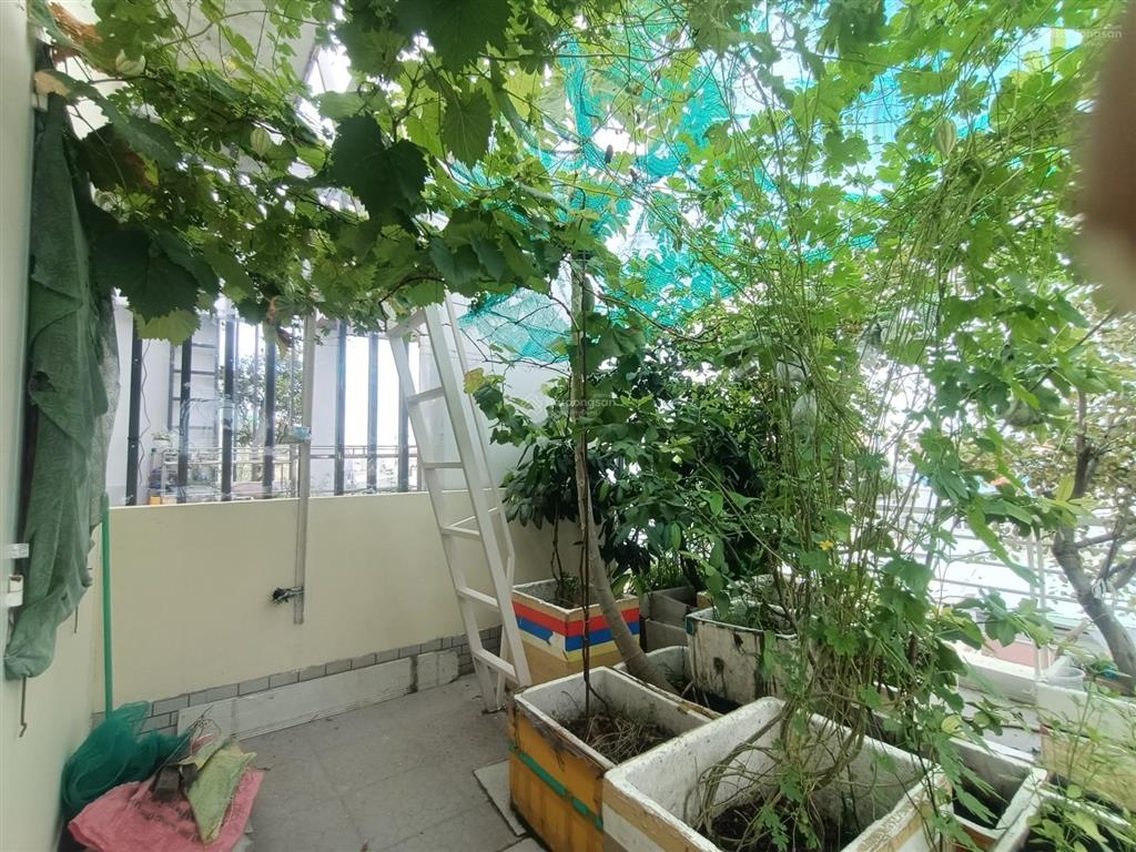 P. linh trung, nhà 3t, hxh tránh, 106m2 giảm 3 tỷ bán gấp chỉ 6.9 tỷ