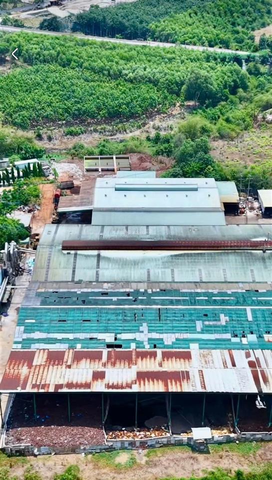 Bán nhà máy sản xuất mủ cao su phú giáo, bình dương