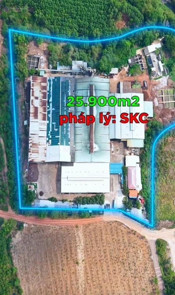 Bán nhà máy sản xuất mủ cao su phú giáo, bình dương