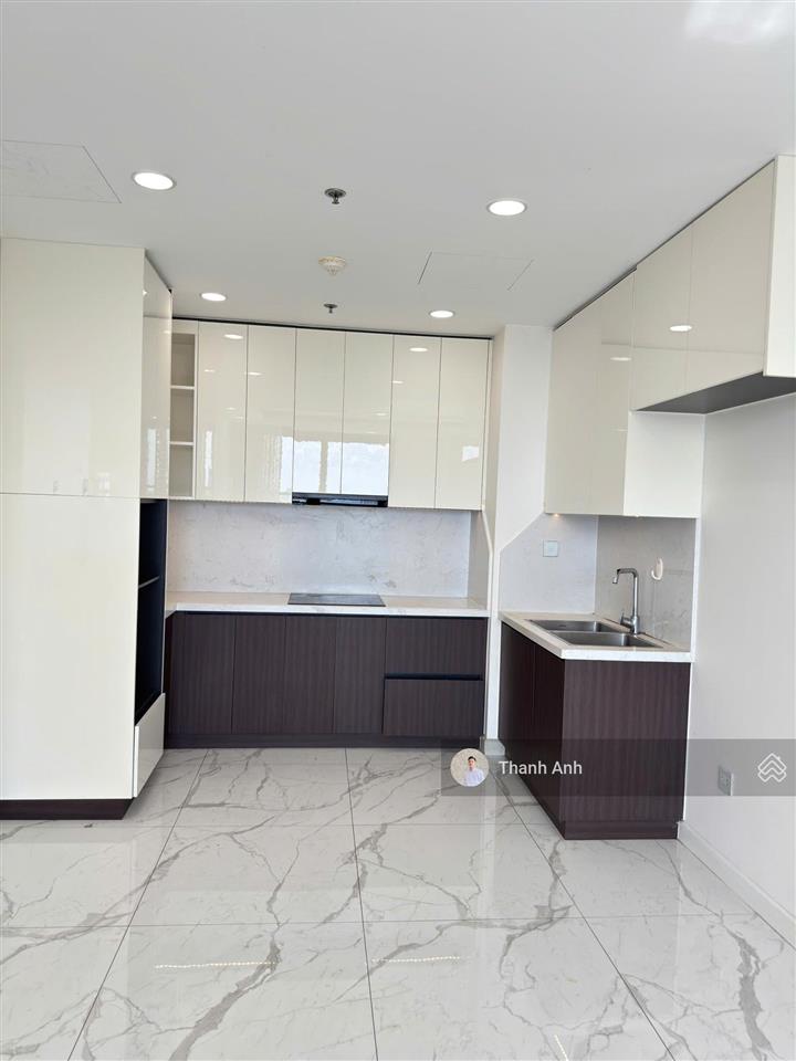 Cho thuê căn hộ 2pn, 3pn, 4pn sunshine sky city, giá tốt