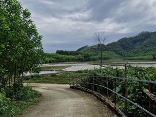 Bán lô đất trồng cây lâu năm. 5900m2 sổ hồng tại xã hòa sơnview đồi núi và cánh đồng cực kì chill