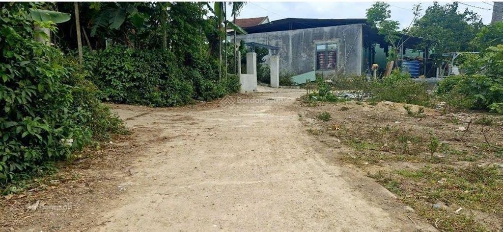 Bán đất kiệt tổ dân phố an ngãi tây 3  phường hòa khánh  tp đà nẵng 147m2 1tỷ5