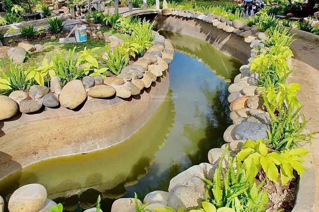 Cơ hội hiếm có khai thác resort 5 sao mini 4.000m bình châu giá 38 tỷ (tựa sơn hướng hải)