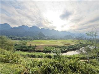 Bán siêu phẩm ,giá bình dân view triệu đô.diện tích 3.15 thổ cư tận 500m tha hồ xây dựng .