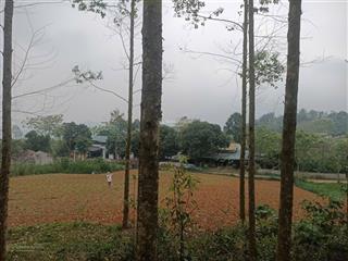 Bán trang trại, khu nghỉ dưỡng tại xã tú lý, hoà bình, giá thỏa thuận, 6500m2