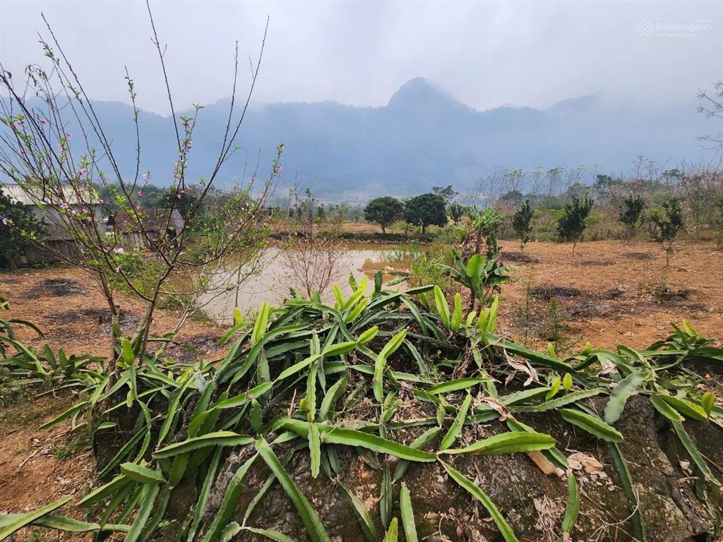 Bán trang trại view đẹp tại xã cao sơn, huyện đà bắc, hòa bình, 2,6 tỷ, 3086 m2
