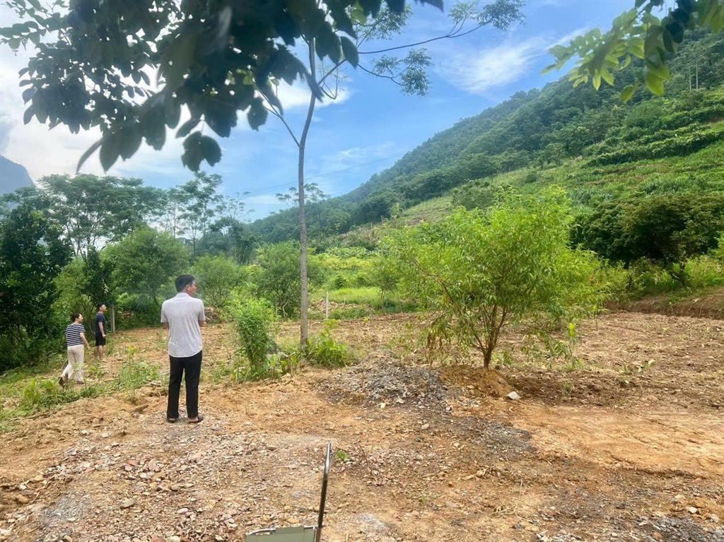 Bán trang trại view đẹp tại xã cao sơn, huyện đà bắc, hòa bình, 2,6 tỷ, 3086 m2