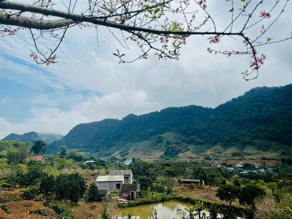Bán trang trại view đẹp tại xã cao sơn, huyện đà bắc, hòa bình, 2,6 tỷ, 3086 m2