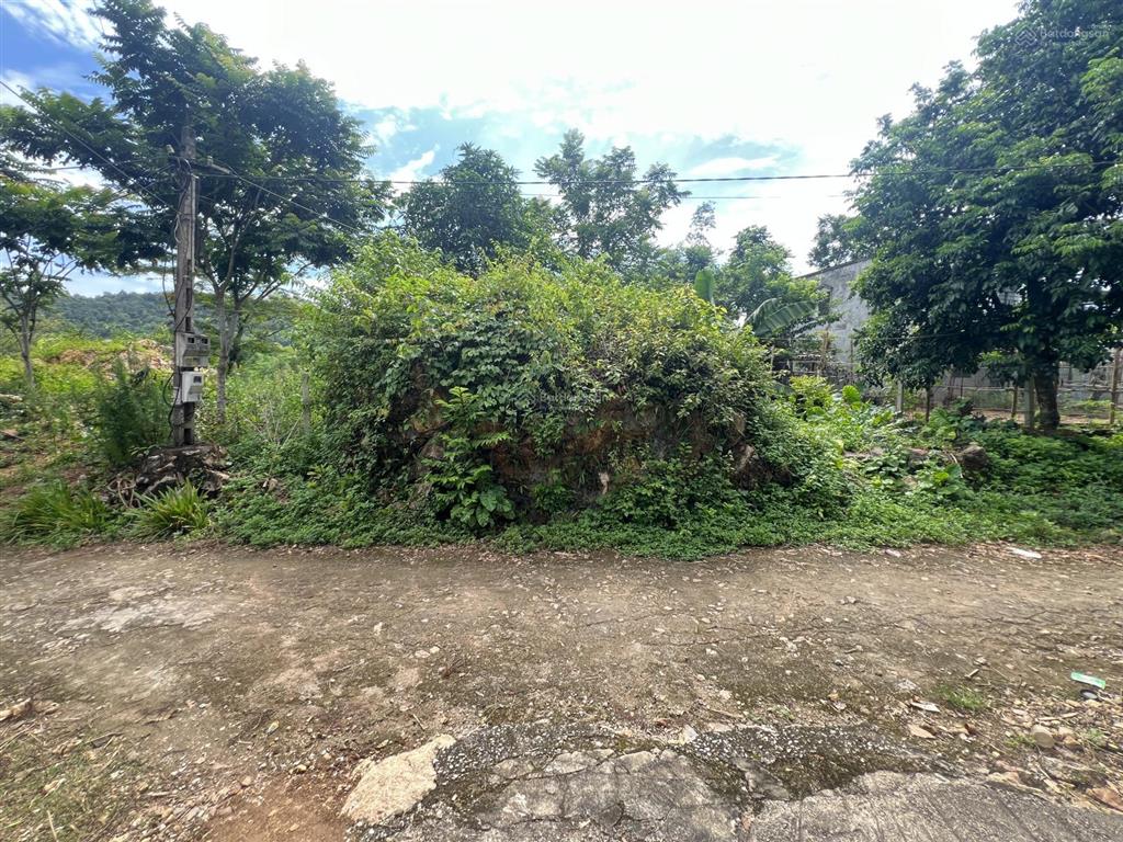 Bán đất 1900m2 tại nà phòn, huyện mai châu, hòa bình, giá thỏa thuận