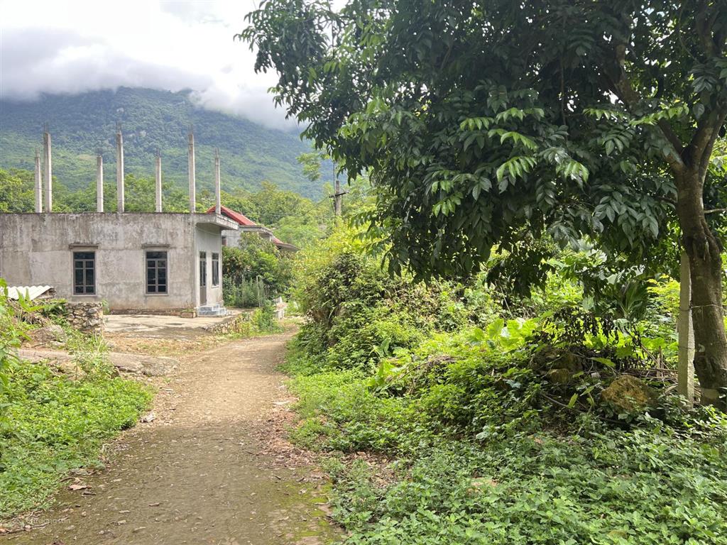 Bán đất 1900m2 tại nà phòn, huyện mai châu, hòa bình, giá thỏa thuận