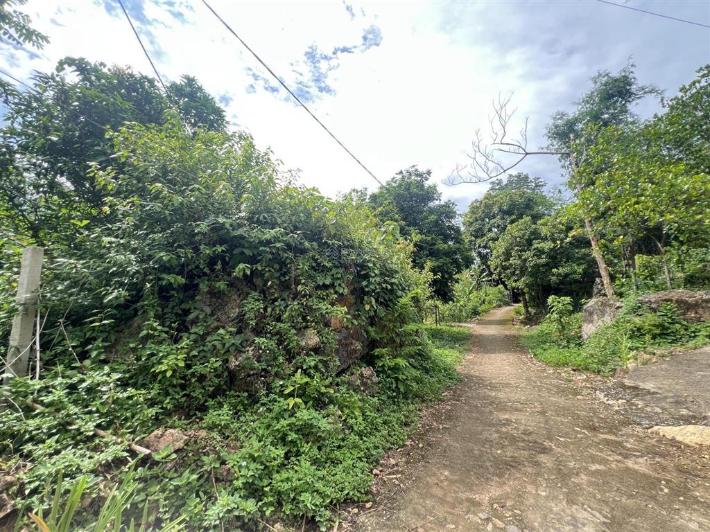 Bán đất 1900m2 tại nà phòn, huyện mai châu, hòa bình, giá thỏa thuận
