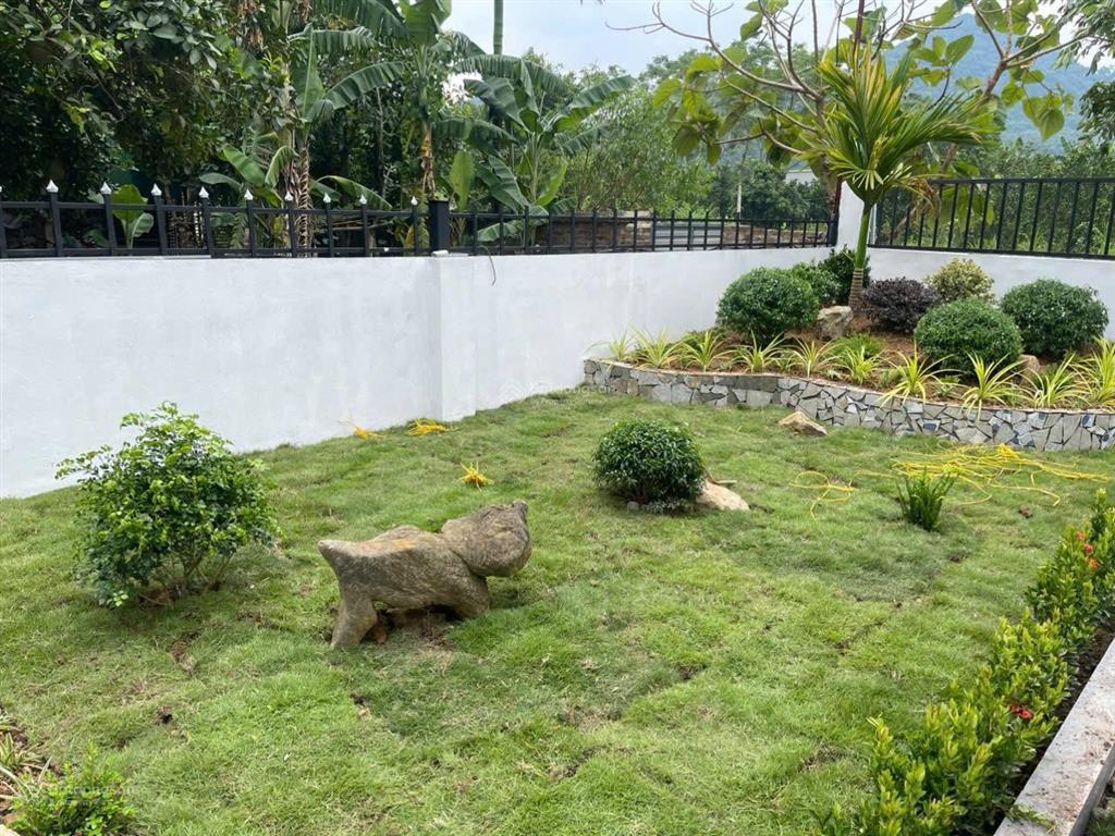 Chỉ hơn 1 tỷ mà có nhà vườn sẵn khuôn viên vườn rau cây cảnh, nằm trong khu dân cư, pháp lý sẵn sổ