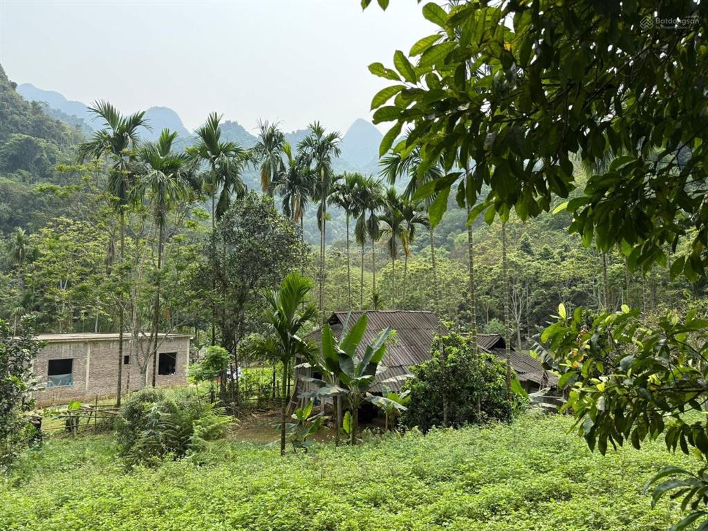 Bán đất tại xã gia mô, huyện tân lạc, hòa bình, giá siêu hời 900 triệu vnd, 2300m2