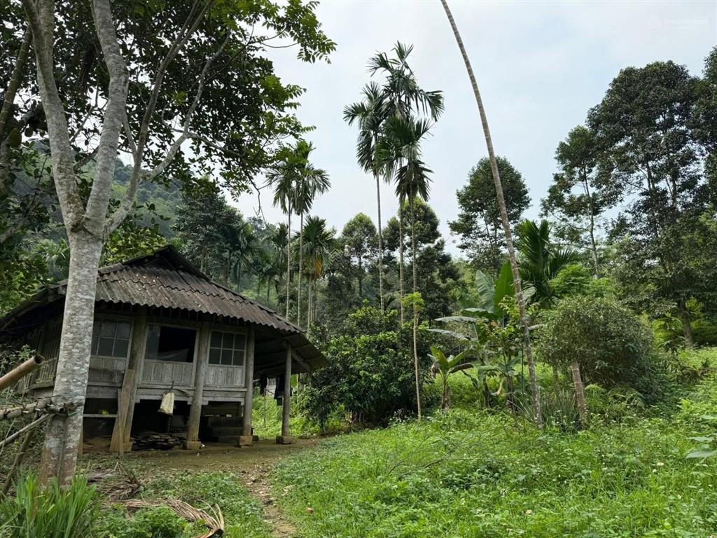 Bán đất tại xã gia mô, huyện tân lạc, hòa bình, giá siêu hời 900 triệu vnd, 2300m2