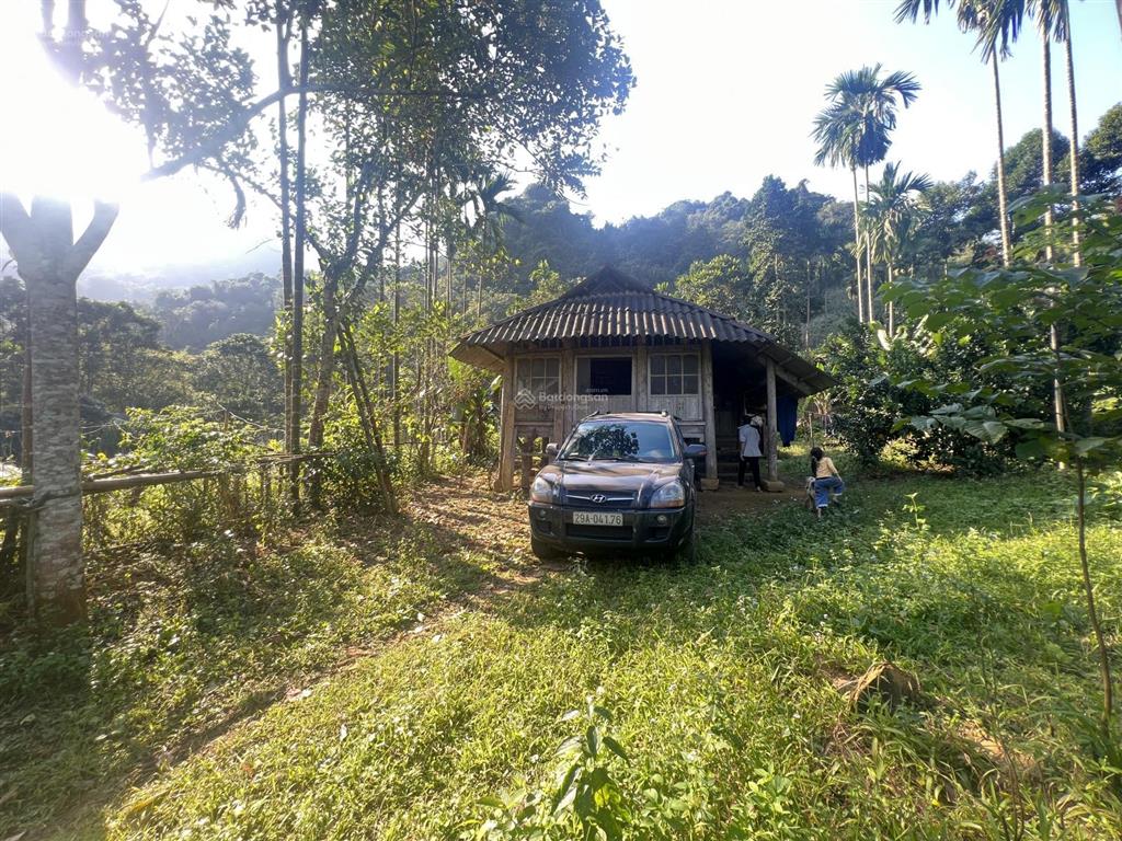 Bán đất tại xã gia mô, huyện tân lạc, hòa bình, giá siêu hời 900 triệu vnd, 2300m2